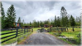 Land for sale in Pak Chong, Nakhon Ratchasima