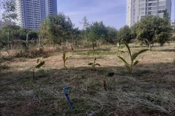 Land for sale in Nong Prue, Chonburi