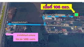 Land for sale in Tha Sala, Chiang Mai