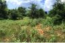 Land for sale in Nong Pla Sawai, Lamphun