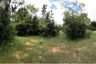 Land for sale in Nong Pla Sawai, Lamphun