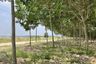 Land for sale in Si Racha, Chonburi