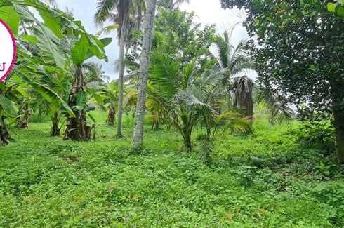 Land for sale in Bang Phra, Chonburi