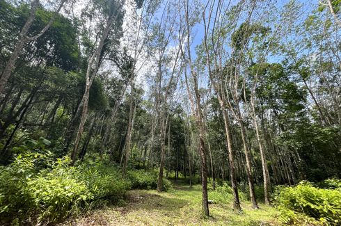 Land for sale in Tha Yu, Phang Nga