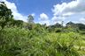 Land for sale in Tha Yu, Phang Nga