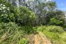 Land for sale in Tha Yu, Phang Nga