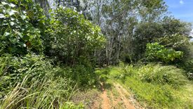 Land for sale in Tha Yu, Phang Nga