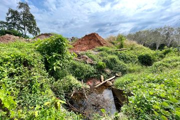 Land for sale in Thep Krasatti, Phuket