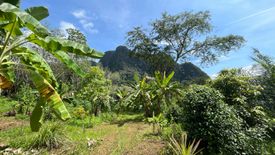 Land for sale in Khao Thong, Krabi