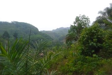 Land for sale in Tham, Phang Nga