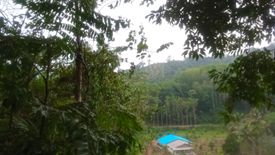 Land for sale in Tham, Phang Nga