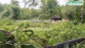 Land for sale in Nong Na Kham, Udon Thani