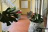 4 Bedroom Townhouse for rent in Khlong Tan Nuea, Bangkok near MRT Sukhumvit
