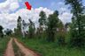 Land for sale in Khok Sung, Chaiyaphum