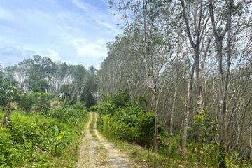 Land for Sale or Rent in Tham, Phang Nga