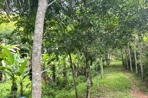 Land for sale in Tha Yu, Phang Nga