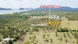 Land for sale in Sam Roi Yot, Prachuap Khiri Khan