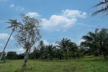 Land for sale in Khok Kloi, Phang Nga