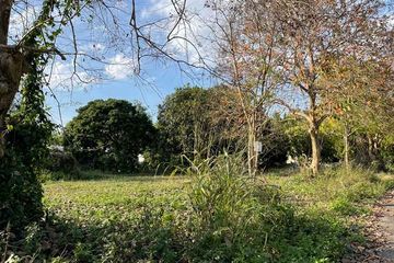 Land for sale in Choeng Doi, Chiang Mai