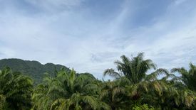 Land for sale in Khao Thong, Krabi