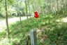 Land for sale in Talo Due Raman, Pattani