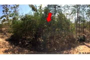 Land for sale in Nong Pla Sawai, Lamphun
