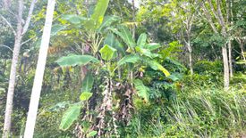 Land for sale in Khok Kloi, Phang Nga