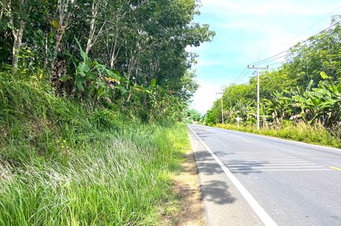 Land for sale in Khok Kloi, Phang Nga