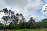 Land for sale in Tha Yu, Phang Nga