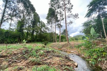 Land for sale in Tha Yu, Phang Nga