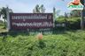 Land for sale in Yang Ngam, Phetchabun