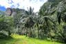 Land for rent in Khao Thong, Krabi