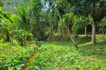 Land for sale in Tha Yu, Phang Nga