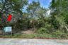Land for sale in Sanam Chai, Suphan Buri