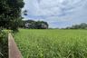 Land for sale in World Club Land, Nong Khwai, Chiang Mai