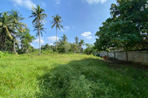 Land for sale in Ao Nang, Krabi