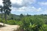 Land for sale in Tha Yu, Phang Nga