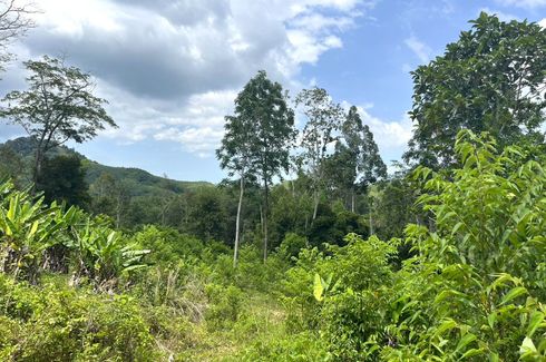 Land for sale in Tha Yu, Phang Nga