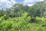 Land for sale in Tha Yu, Phang Nga