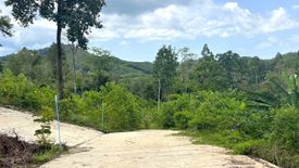 Land for sale in Tha Yu, Phang Nga