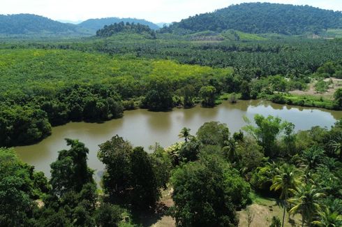 Land for sale in Takua Pa, Phang Nga