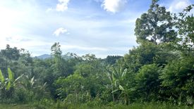 Land for sale in Tha Yu, Phang Nga