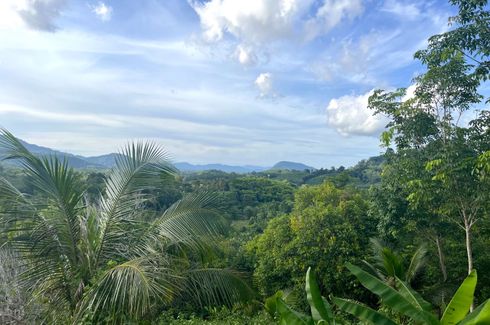 Land for sale in Tha Yu, Phang Nga