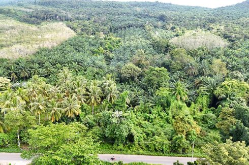 Land for sale in Nong Thale, Krabi