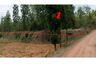Land for sale in Khok Sung, Chaiyaphum