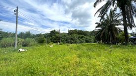 Land for sale in Nong Thale, Krabi