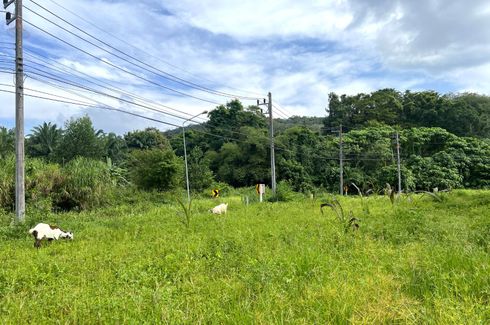 Land for sale in Nong Thale, Krabi