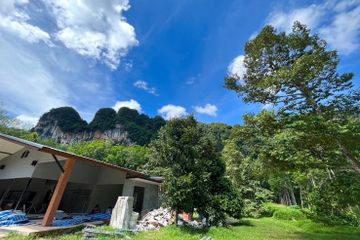 Land for sale in Khao Thong, Krabi