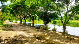 Land for sale in Huai Yai, Chonburi