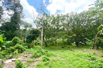 Land for sale in Si Sunthon, Phuket